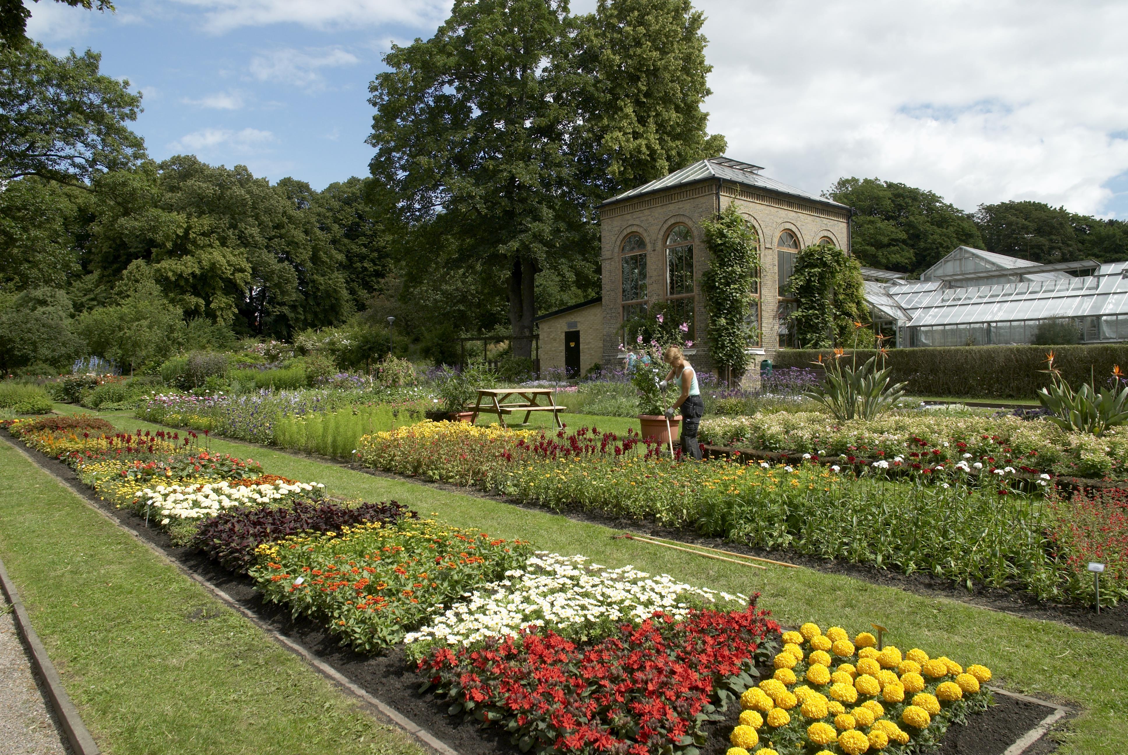 Bengt A Lundberg, Botaniska trädgården i Lund