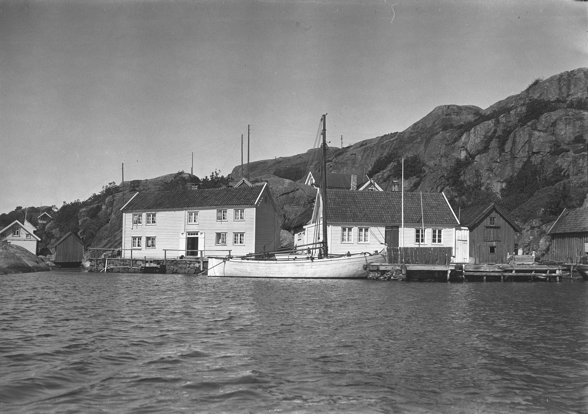 Anders Beer Wilse, Prot: Ny Hellesund