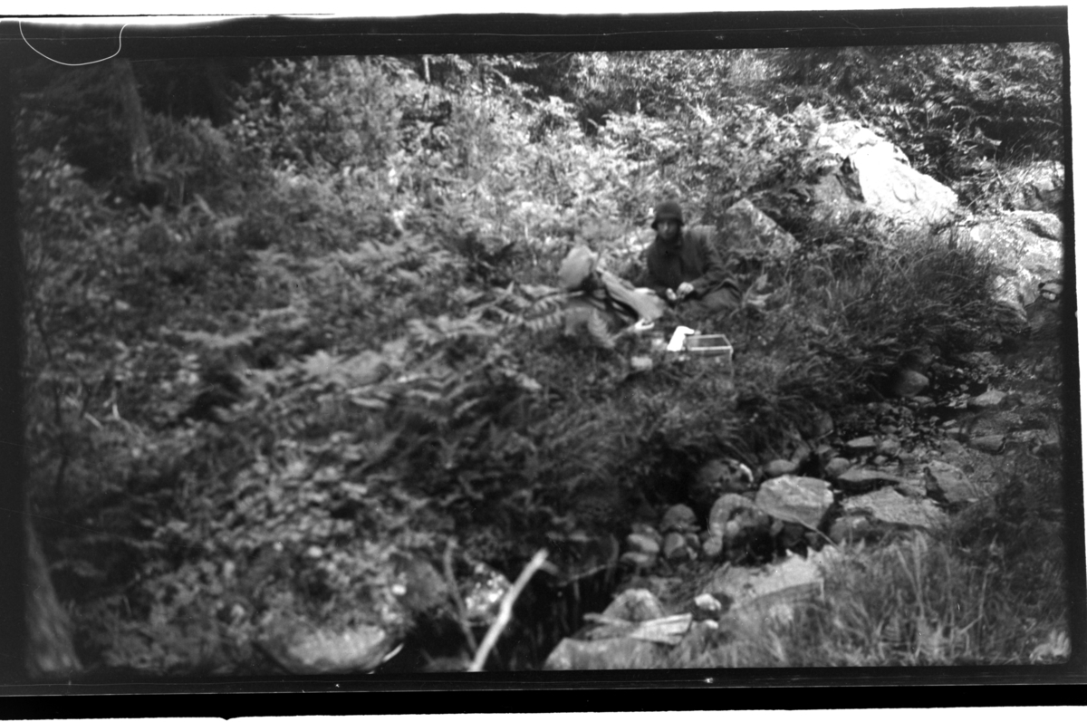 Rolf Sr. Sundt, NF.34664-655