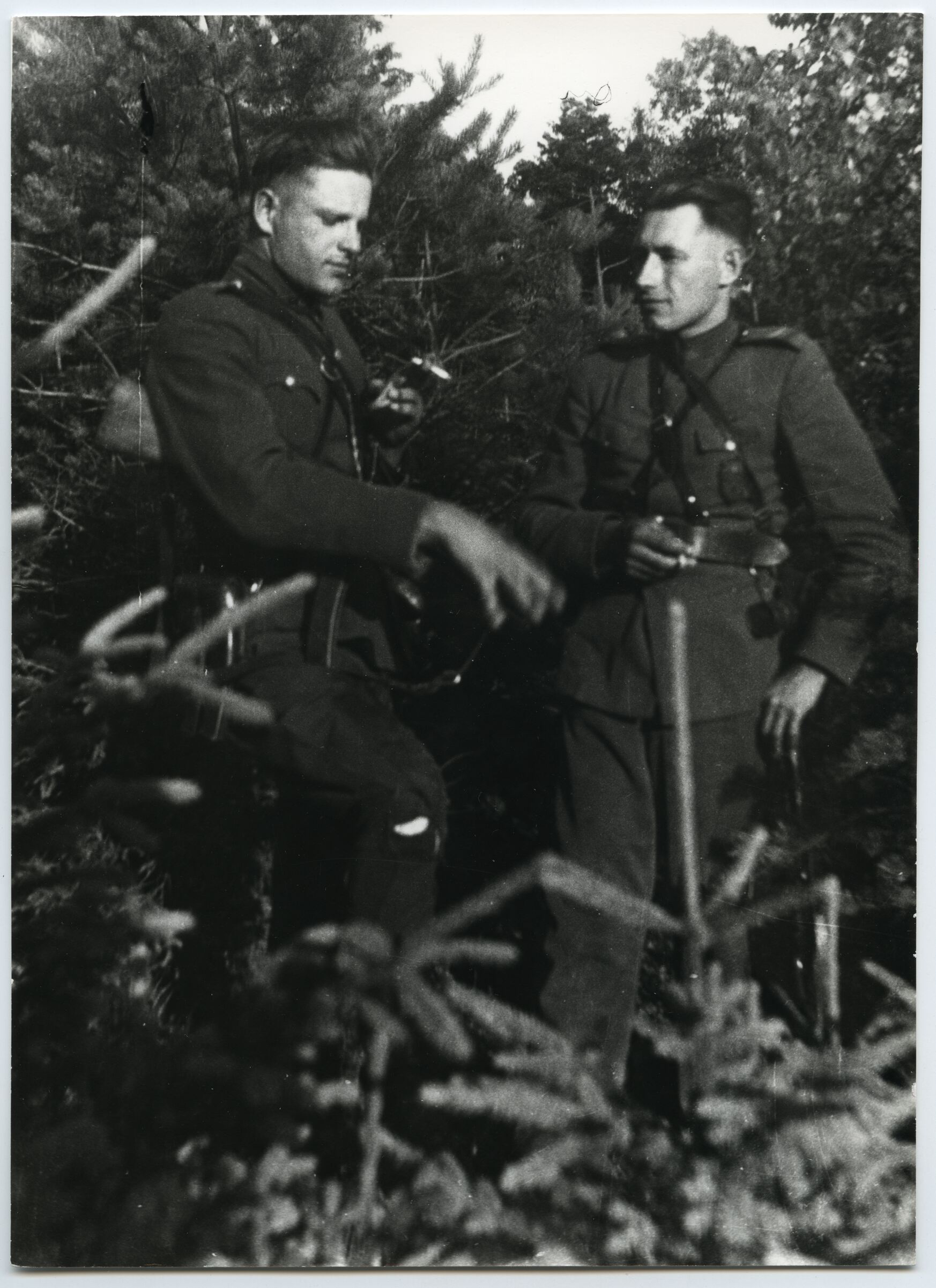 Nežinomas autorius, Maironio rinktinės partizanai