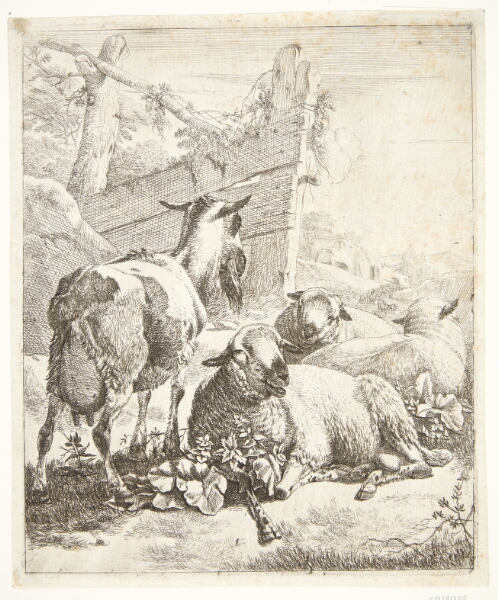 Johann Heinrich Roos, En stående ged og tre liggende får