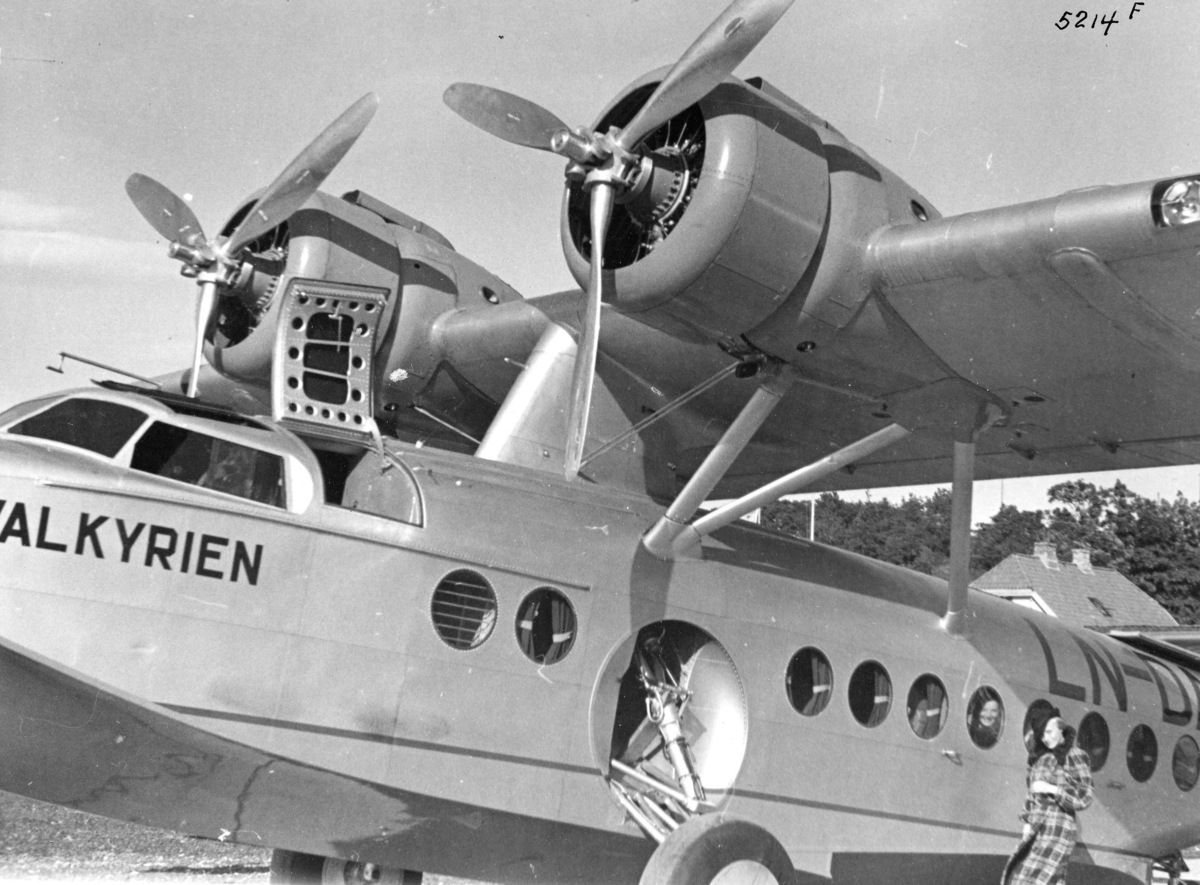 Anders Beer Wilse, Fly