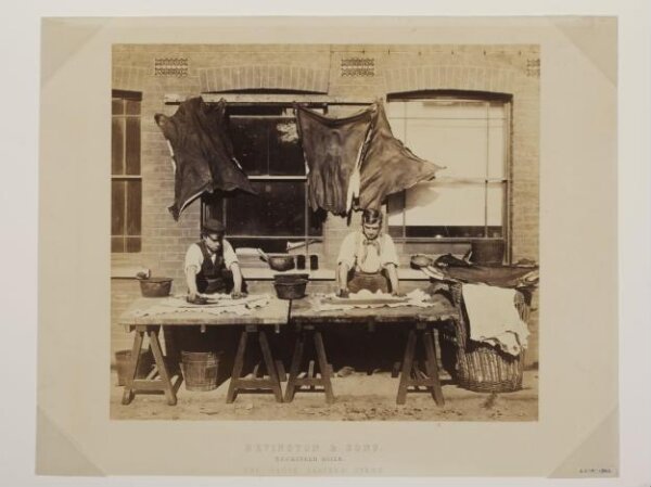 unknown, Leather tanning at Geoffrey Bevington and Sons