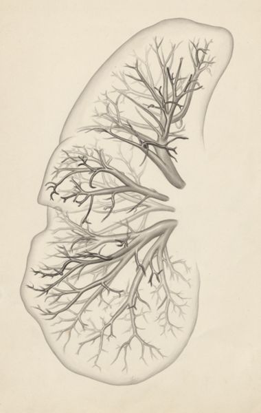 J Tinkelenberg, Lungs