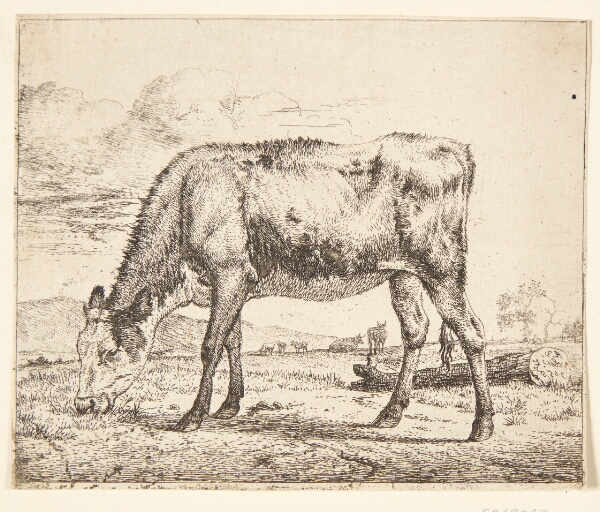 Adriaen van de Velde, Græssende kalv