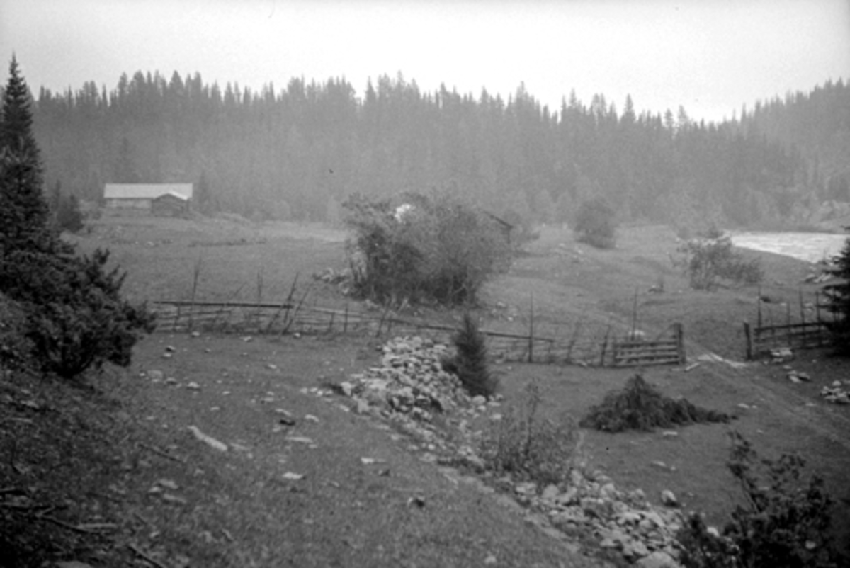 Toralv Bleken-Nilssen, ØYA SETER, VANG, Hamar, ÅSTDALEN, FURNES ALLM. TIDL. 611
