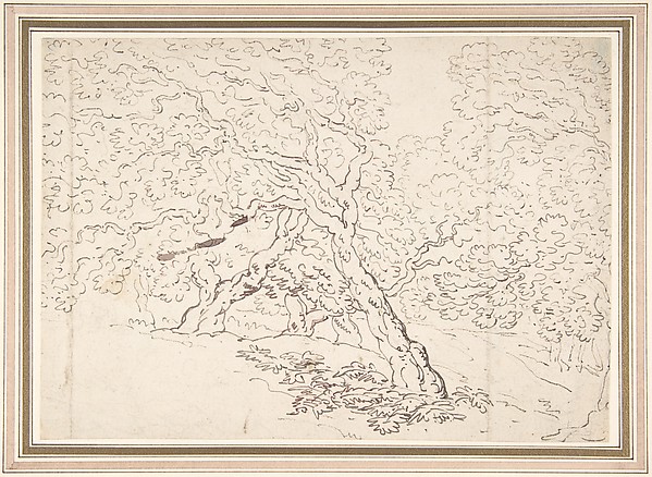 Thomas Rowlandson, Study of trees