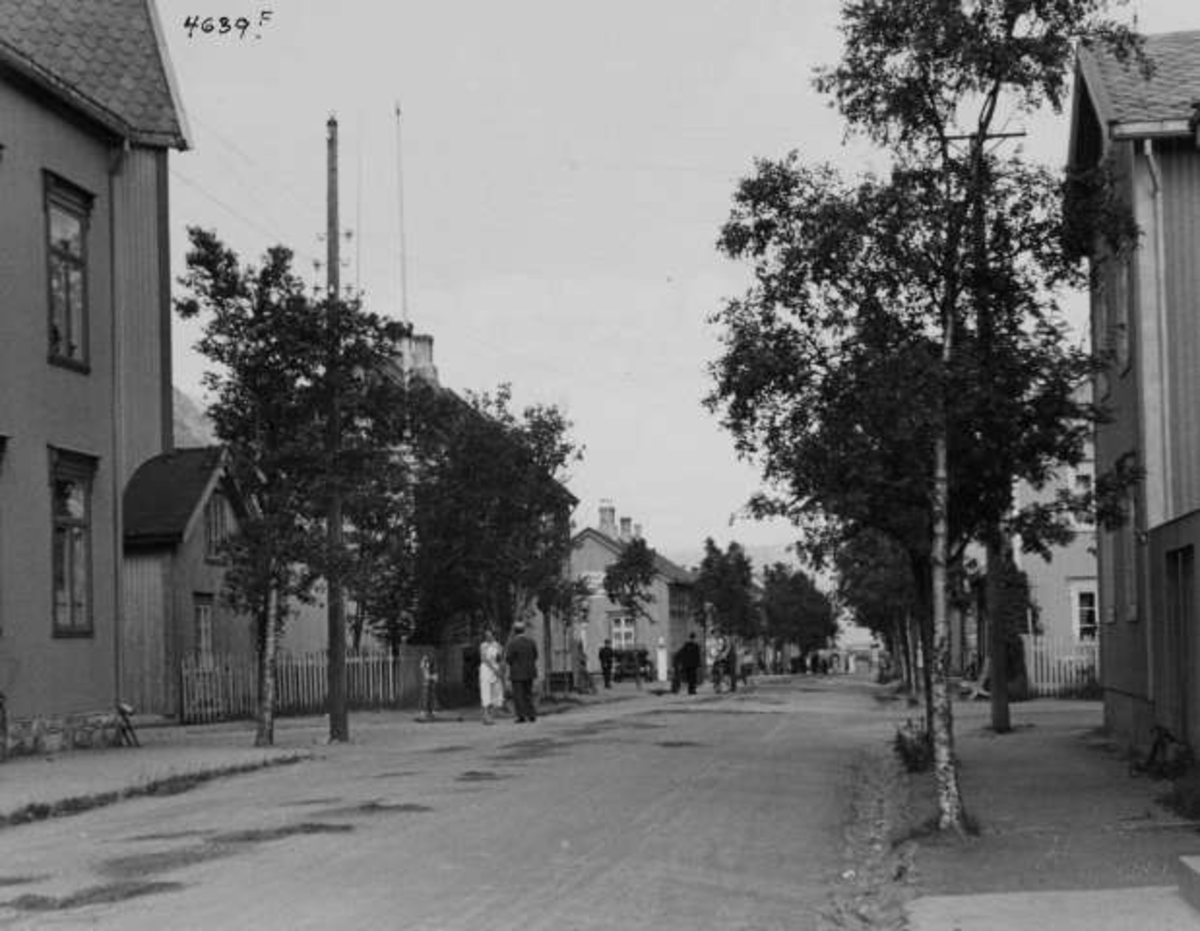 Anders Beer Wilse, -5591