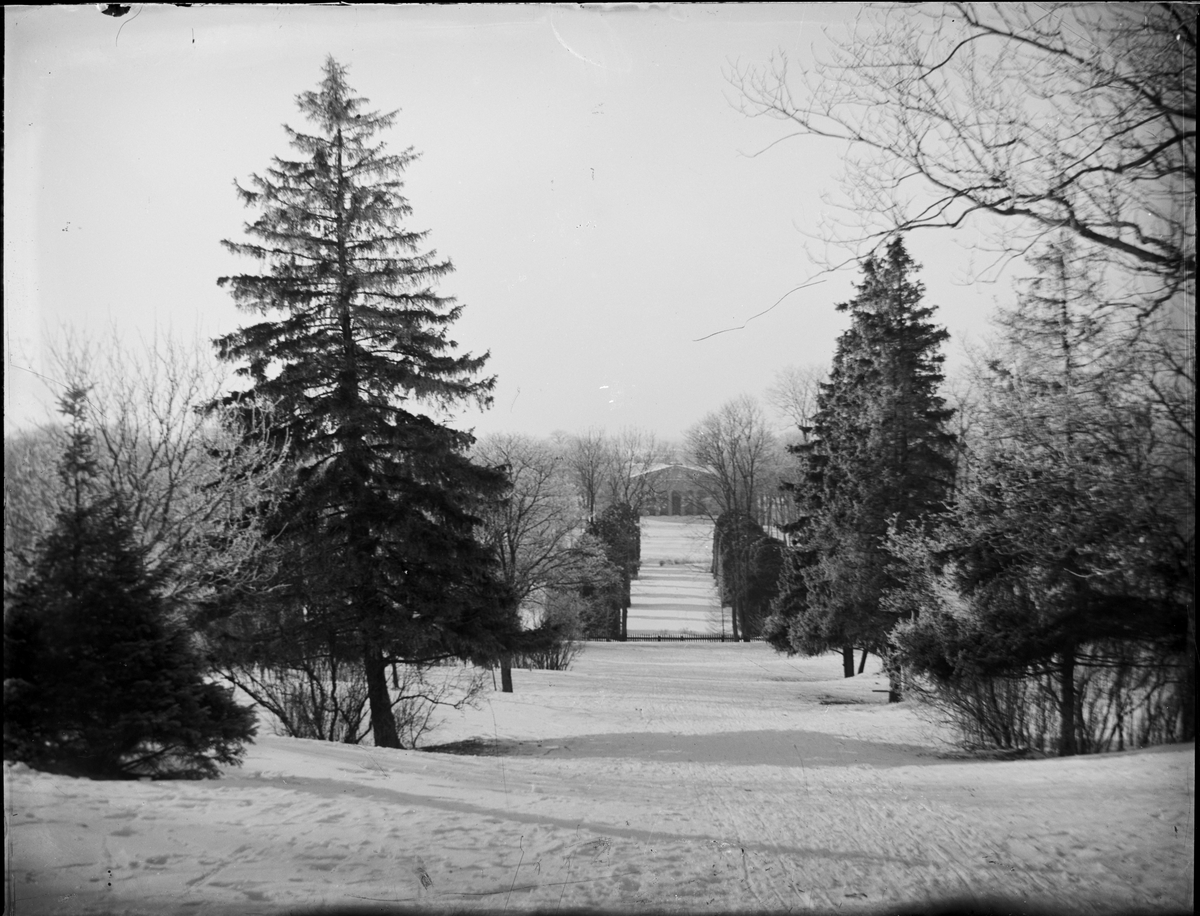 Okänd,, View of the Botanical Garden, Uppsala