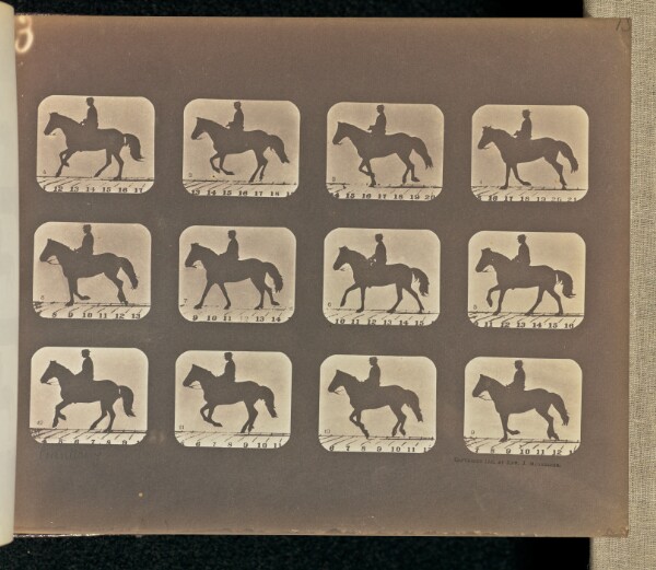 Eadweard J. Muybridge, Cantering