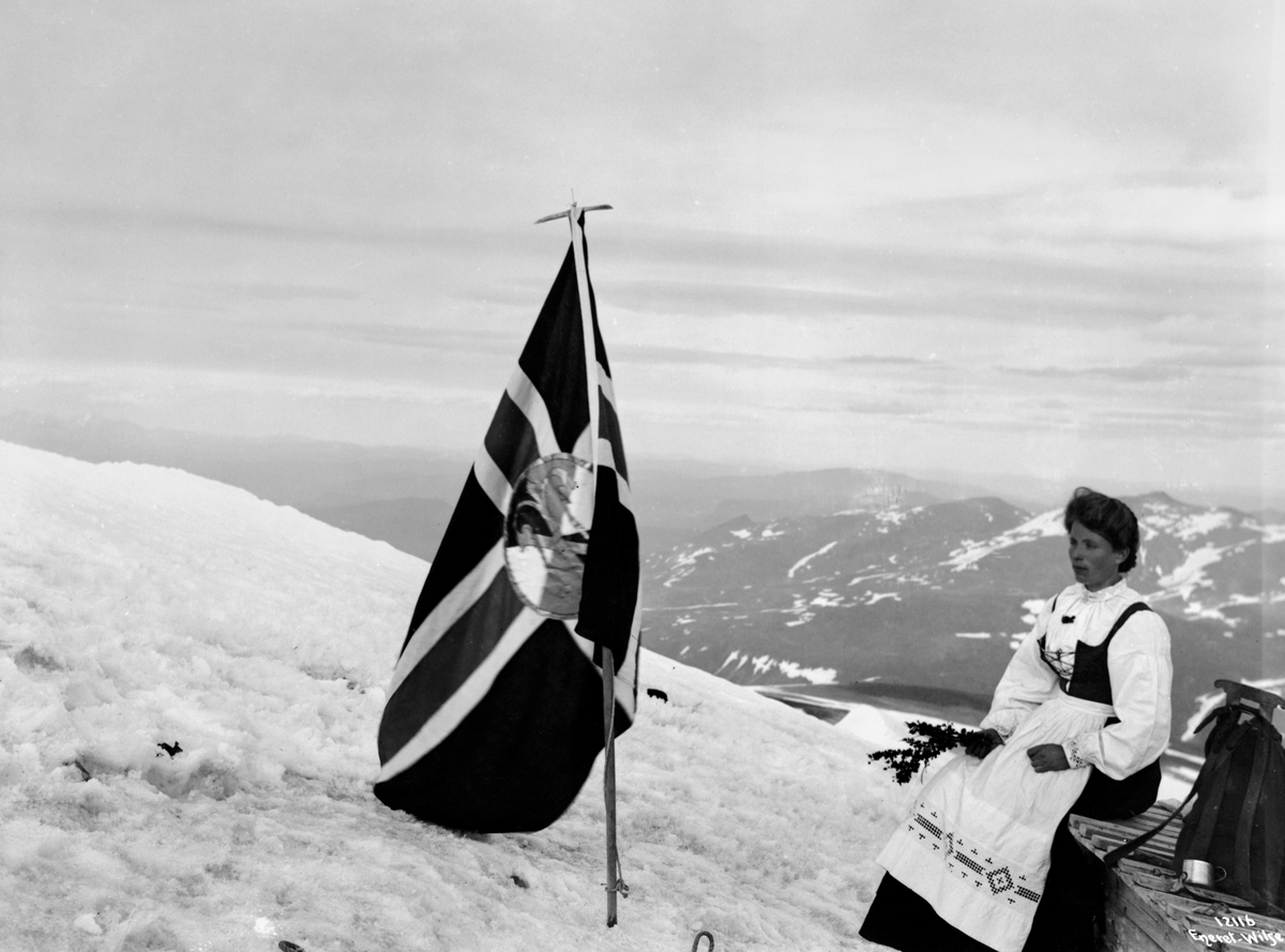 Anders Beer Wilse, Prot: Glittertind Turistforeningens Flag 17/7 1910