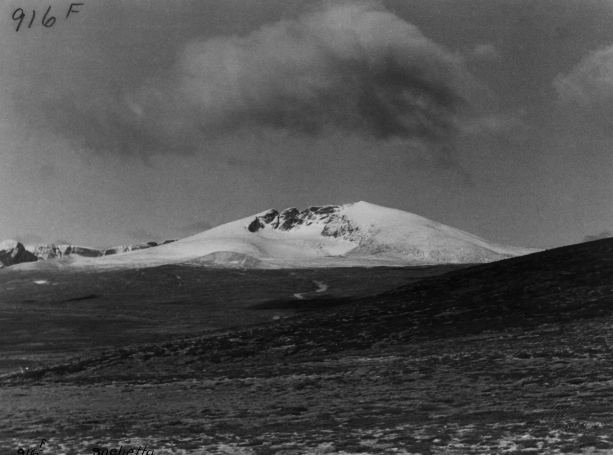 Anders Beer Wilse, Snohetta, Dovrefjell