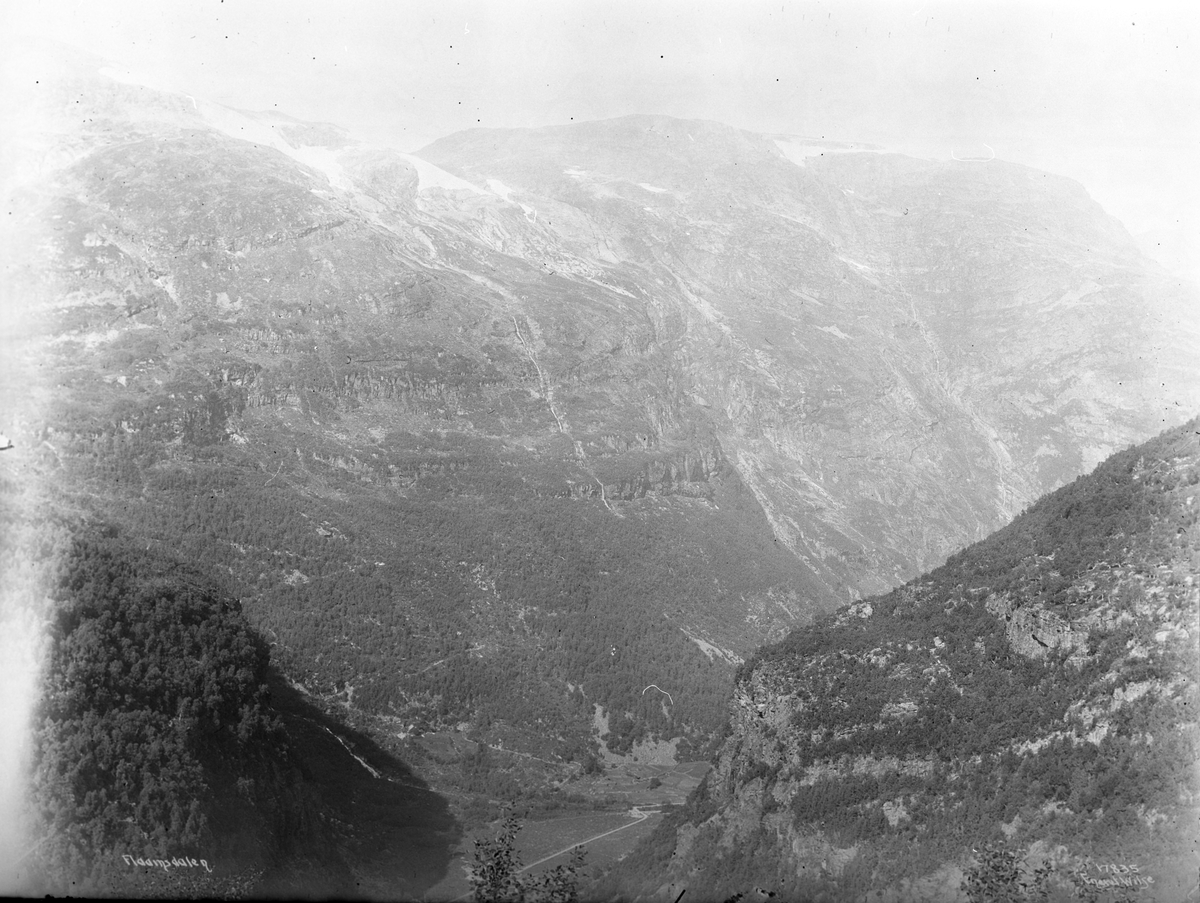 Anders Beer Wilse, Prot: Vatnahalsen Flaamsdalen