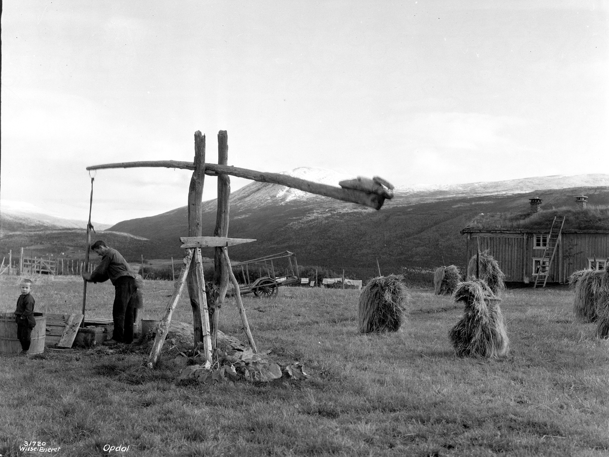 Anders Beer Wilse, Prot: Trøndelag - Opdal