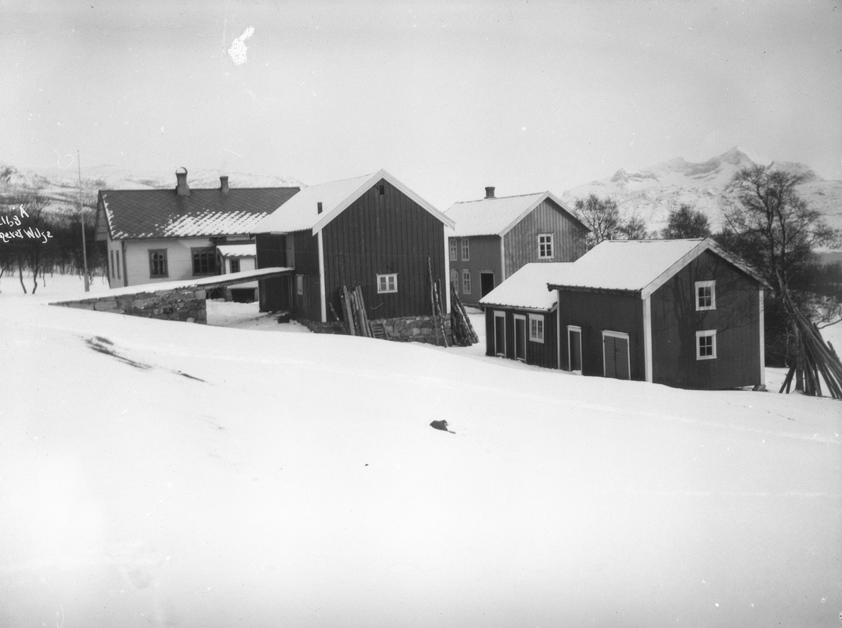 Anders Beer Wilse, Prot: Hamsuns Gaard Hammerøi 13/4