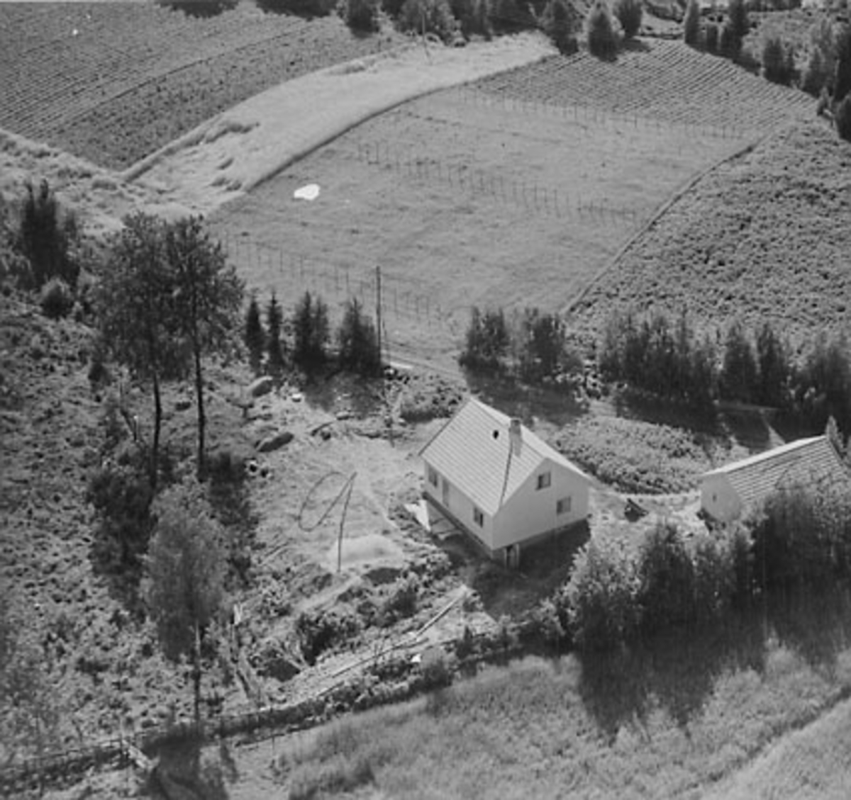 Widerøes Flyveselskap A/S, FLYFOTO ASP, ÅSVANG