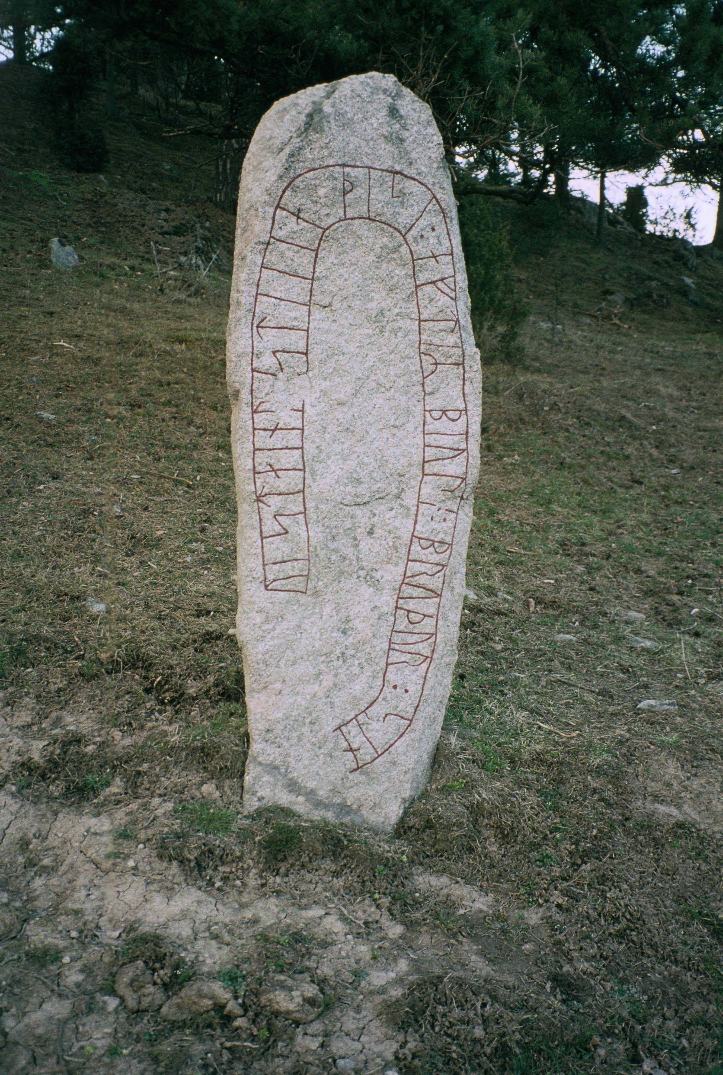 Bengt A Lundberg, ÖgNf1993 Lunnebjörke