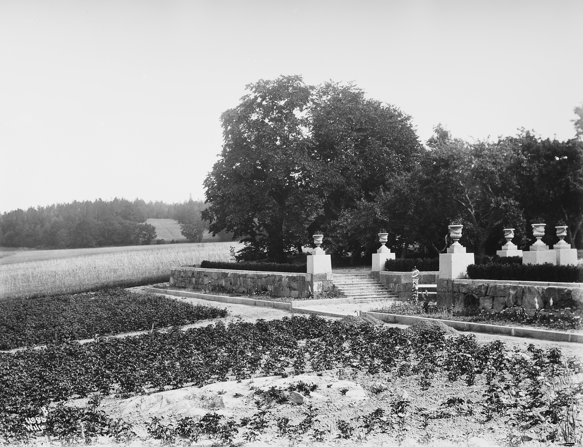Anders Beer Wilse, Konv: Eyde/terassen