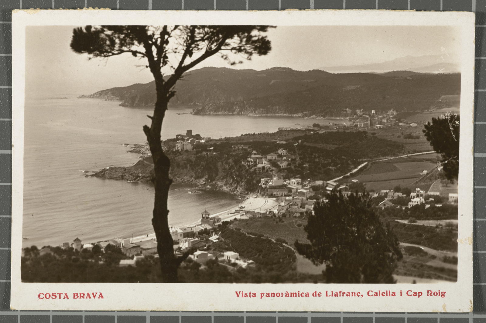 Desconegut, Costa Brava. Panoramic view of Llafranc, Calella and Cap Roig