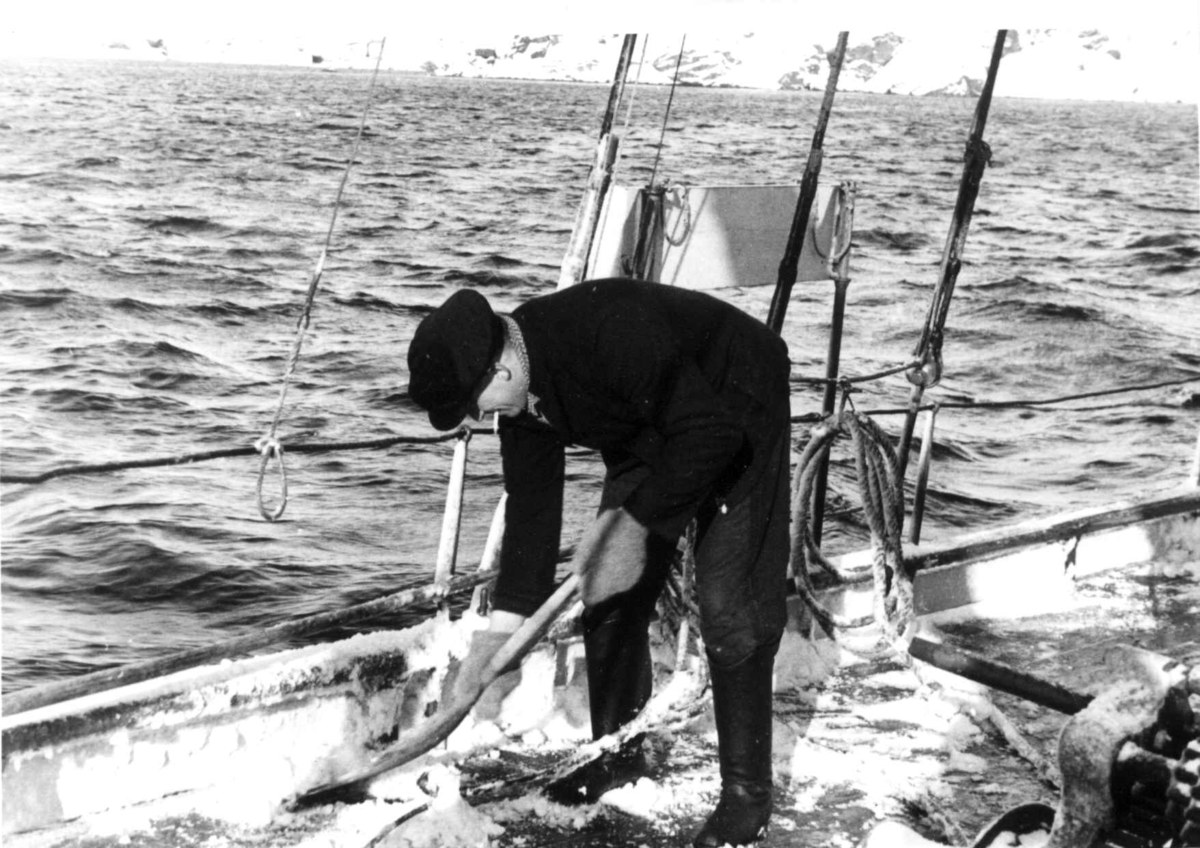 Anders Beer Wilse, Lofotfiske