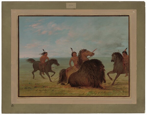 George Catlin, Camanchees Lancing a Buffalo Bull