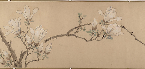 Unidentified artist, Magnolia
