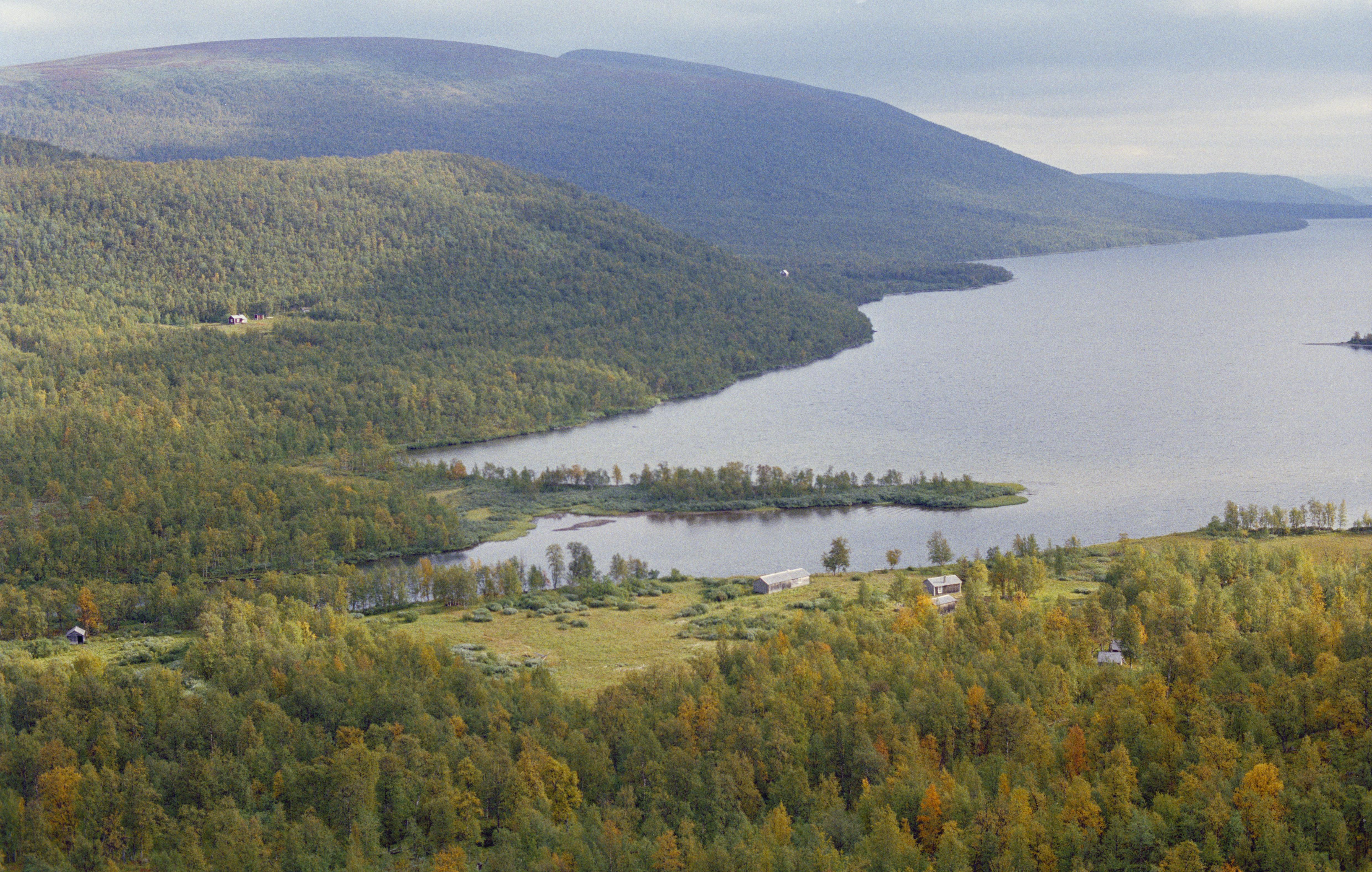 Jan Norrman, Matsokudden