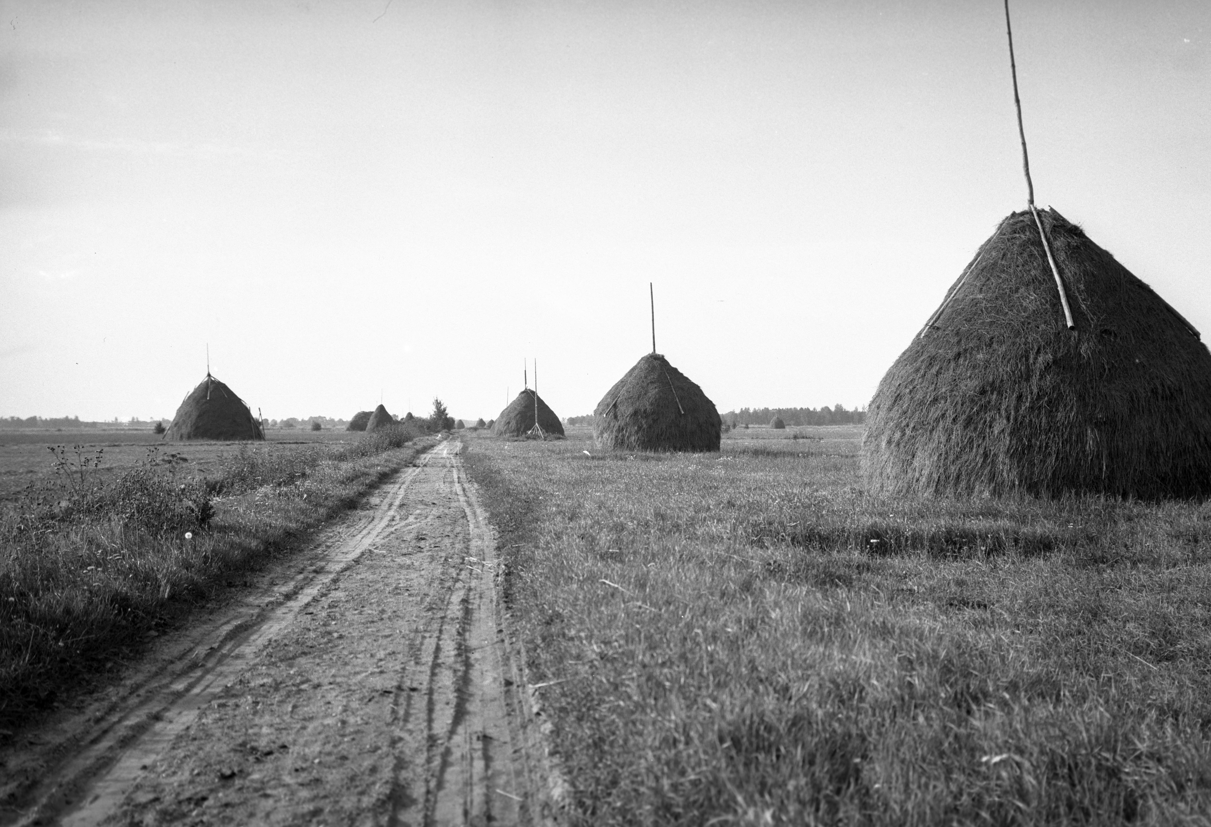 Mårten Sjöbeck, Odensbacken, terrängen öster om