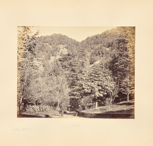 Samuel Bourne, Simla; Jakko, from "Oakover" (General View from the Tonga Road)