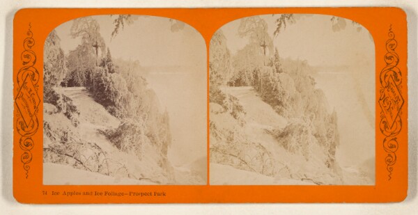 George E. Curtis, Ice Apples and Ice Foliage - Prospect Park [Niagara Falls, N.Y.]