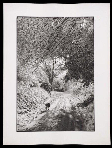 Hardy, Bert, Snow