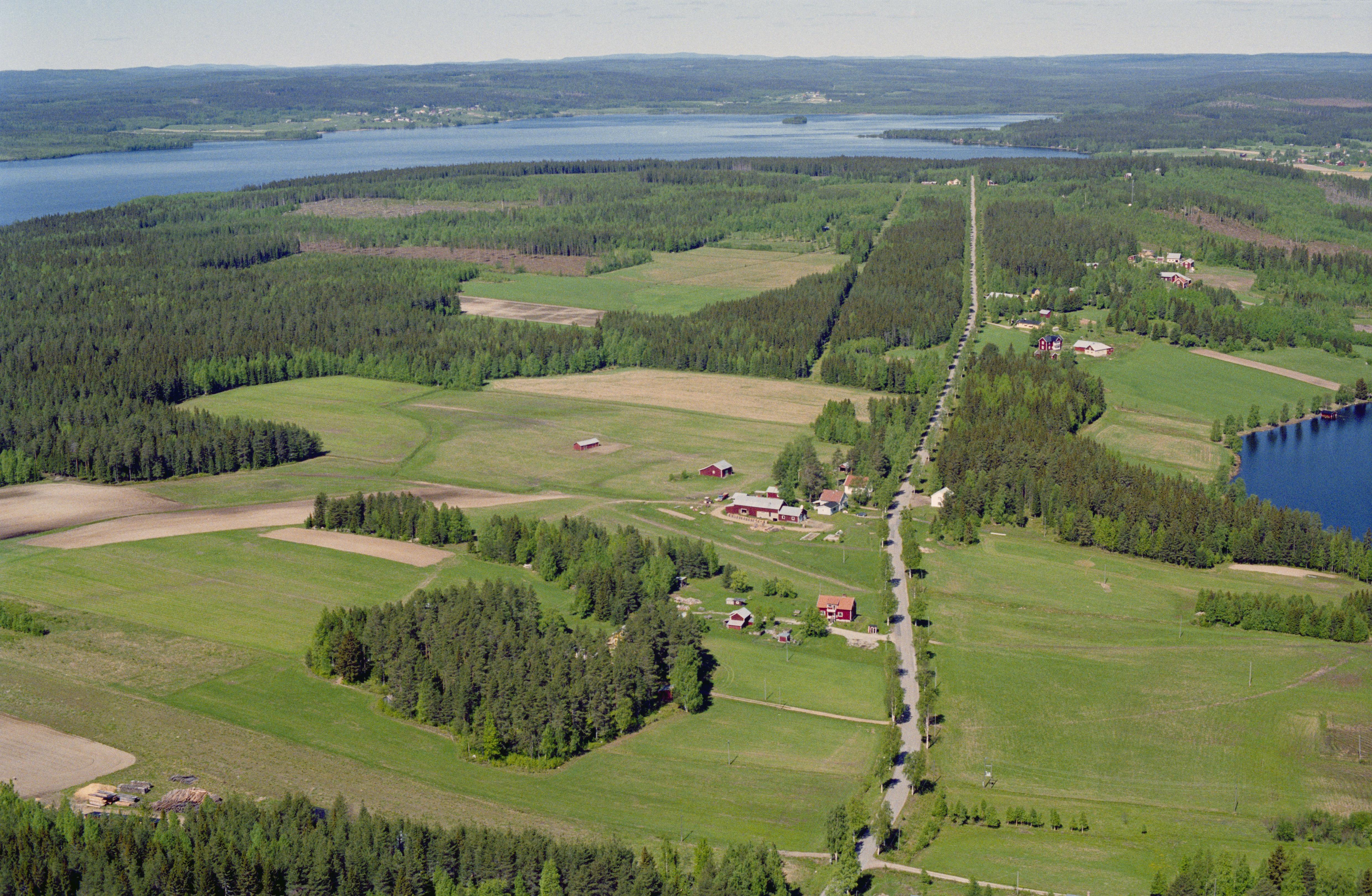 Jan Norrman, Burträsk 209:1