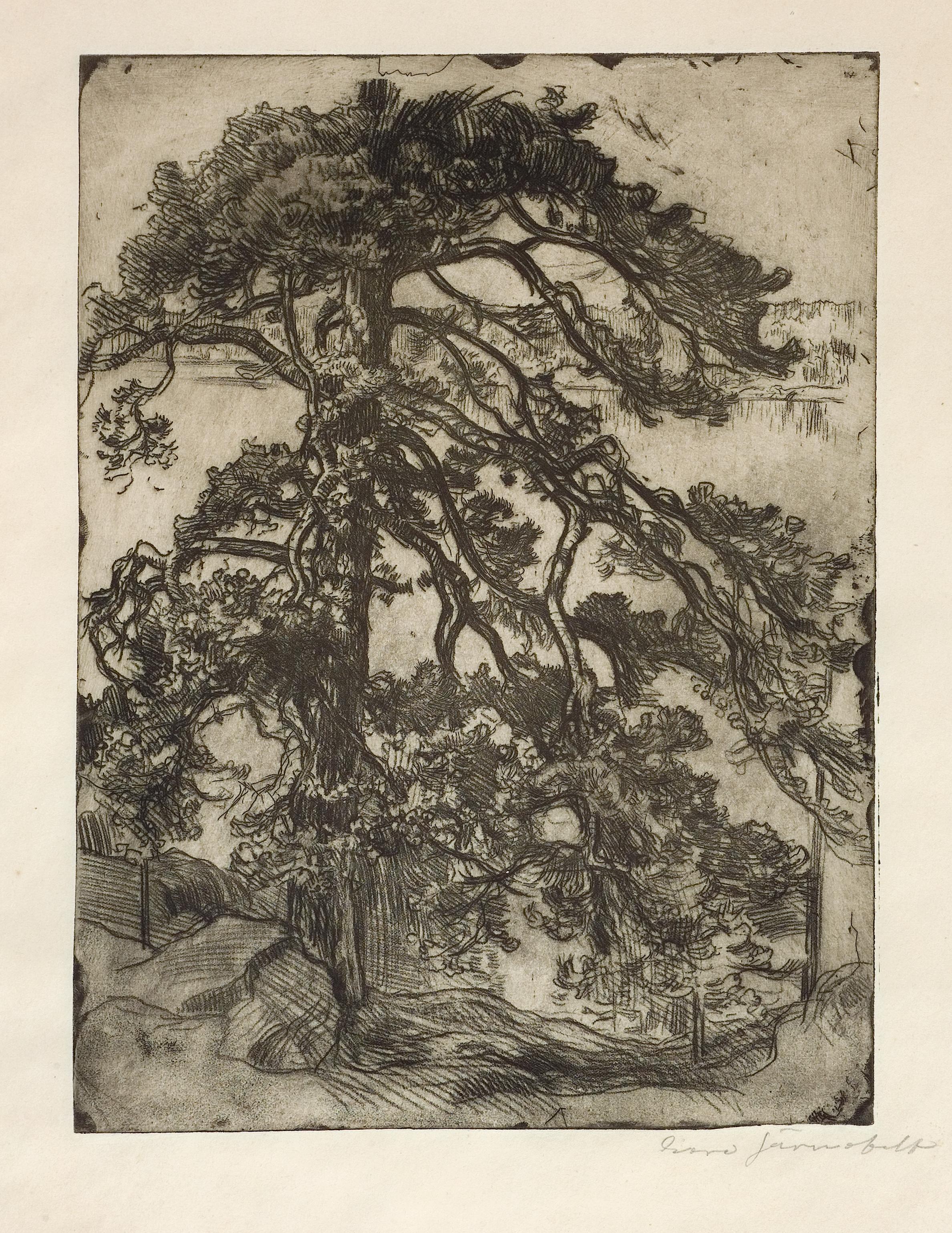 Eero Järnefelt, Mänty