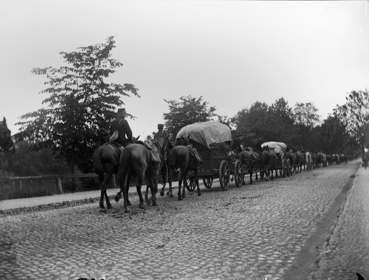 Carl Liljefors, Andra Svea Artilleriregemente, Svartbäcksgatan, Svartbäcken, Uppsala 1900 - 1901