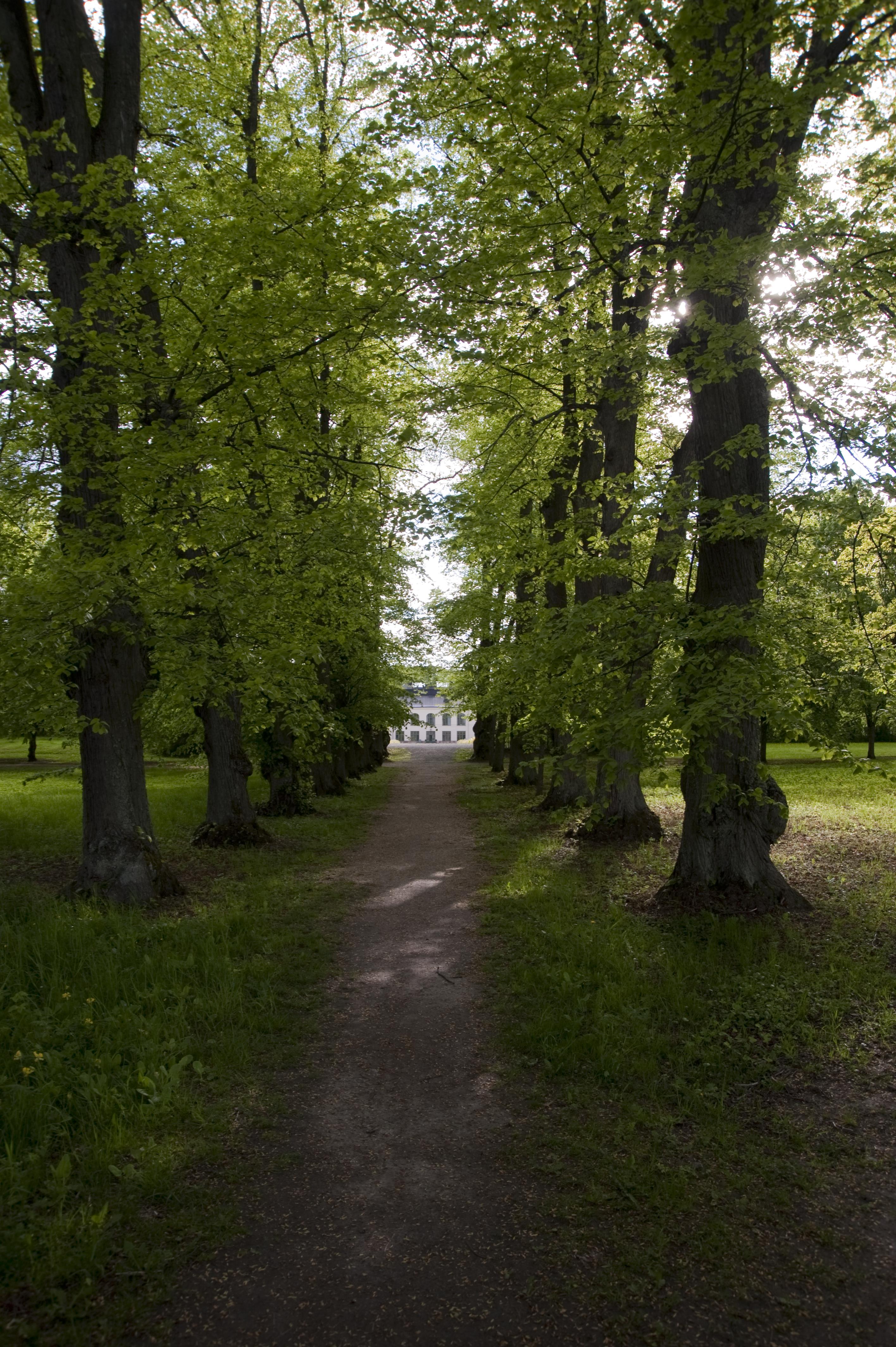 Bengt A Lundberg, Näsby slott