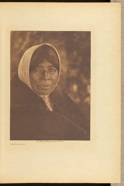 Edward S. Curtis, A Wappo Matron