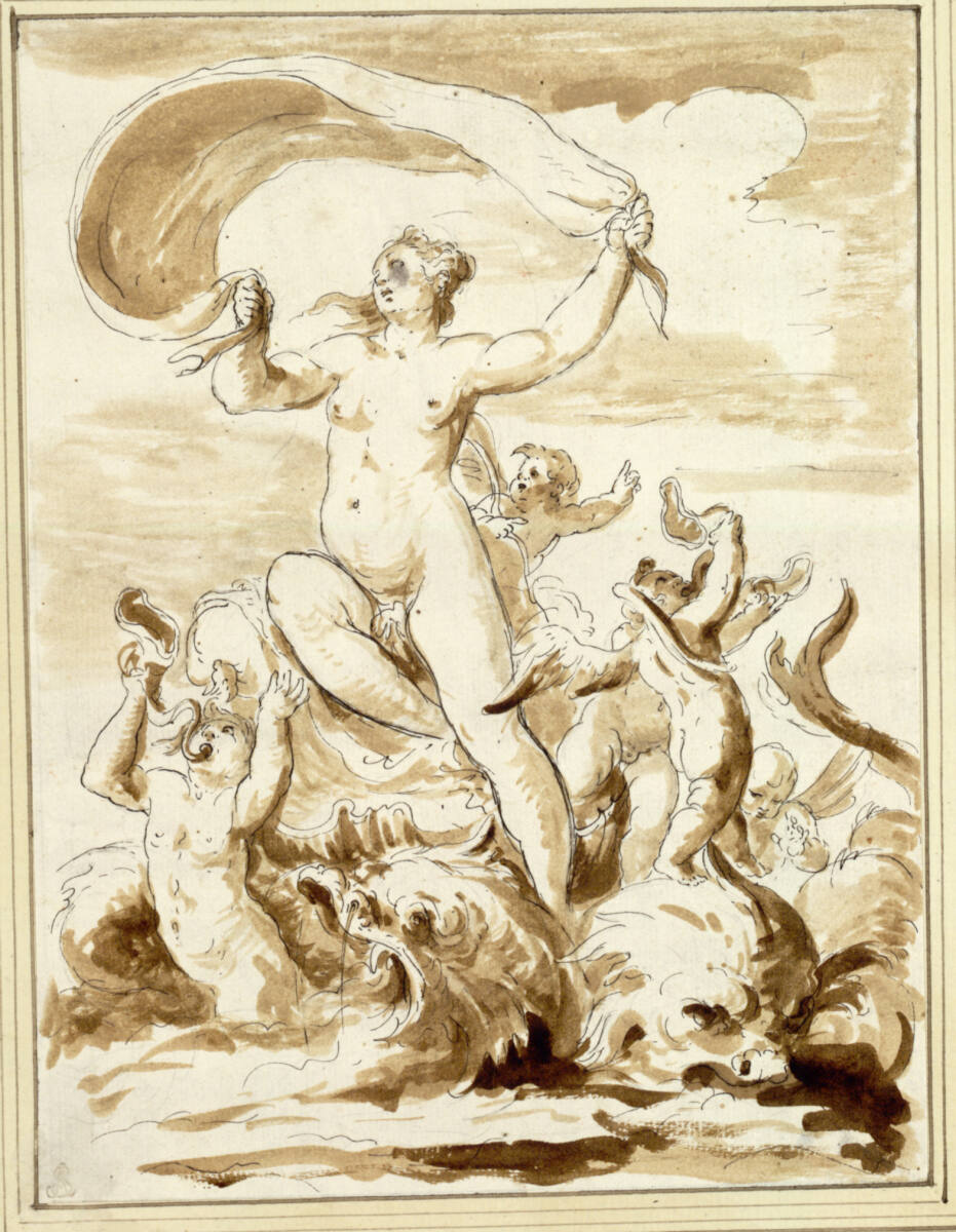 Anonym, Amphitrite