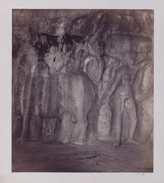 Unknown, Photograph