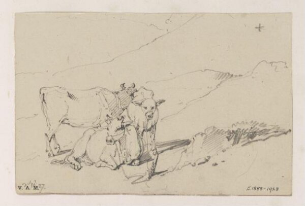 George Chinnery, Three cows