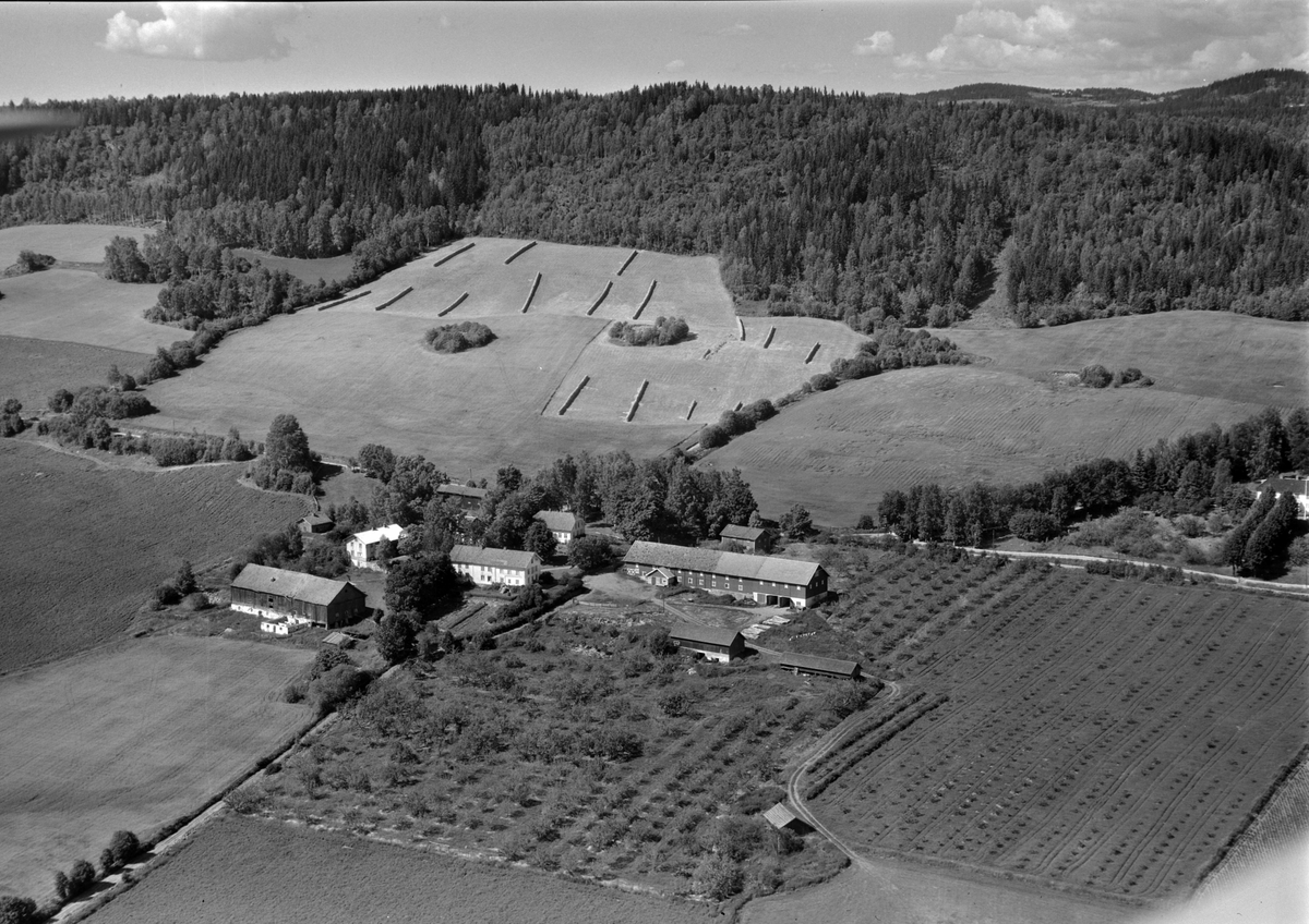 Widerøes Flyveselskap A/S, Flyfoto av Løken gard, Rudshøgda. Frukthage.