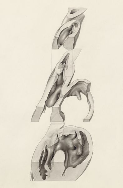 J Tinkelenberg, Embryonic heart