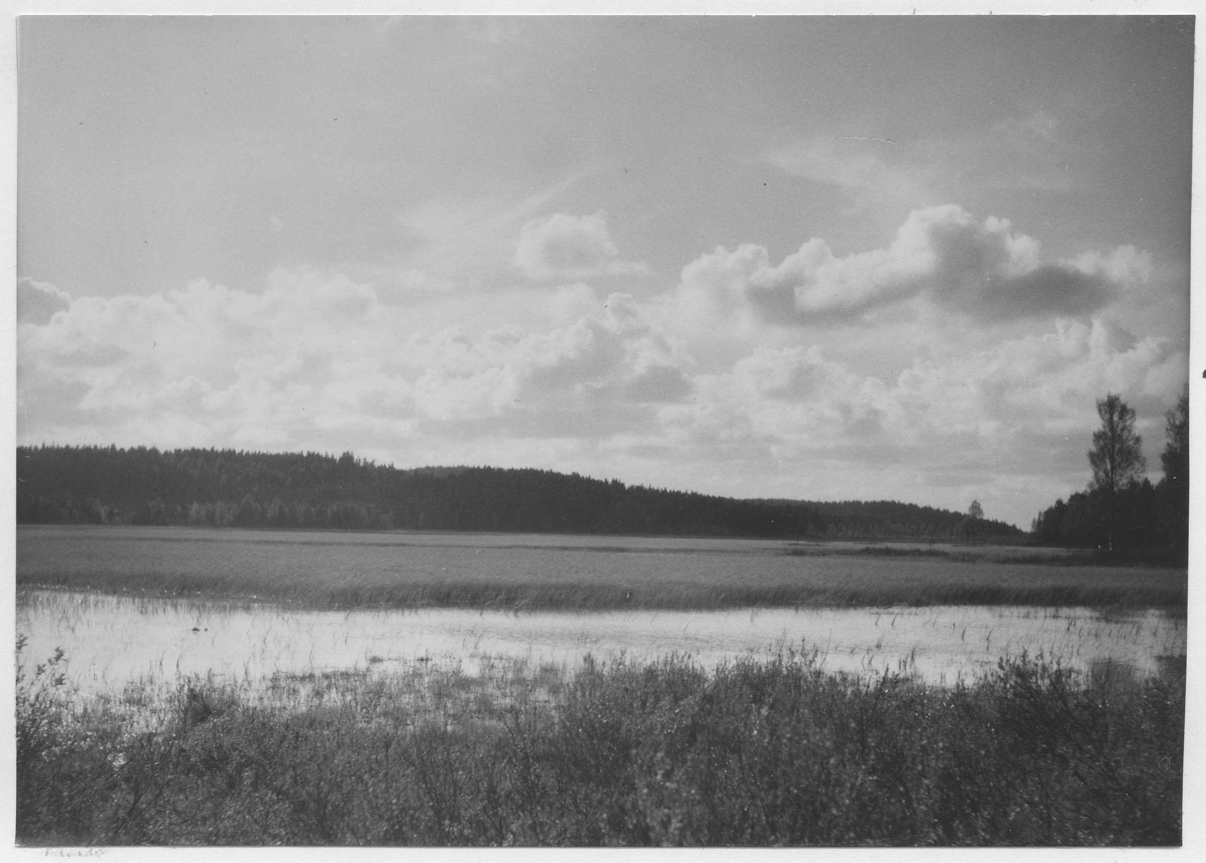 Mårten Sjöbeck, Starrmyr öster om Tingvalla station