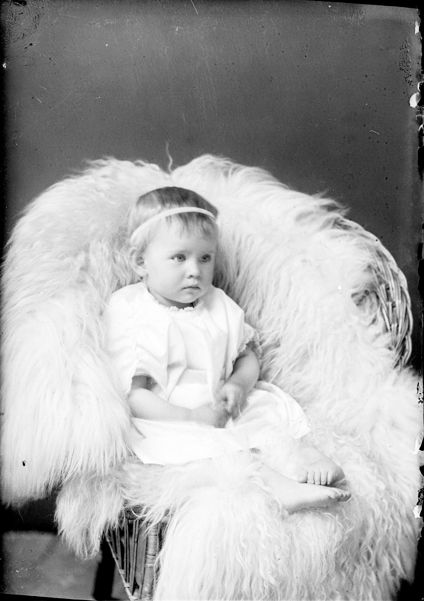 Skötsner-Edhlund, Ateljéporträtt - barn till fru Mina Gauffin från Lugnet, Hökhuvud socken, Uppland 1922