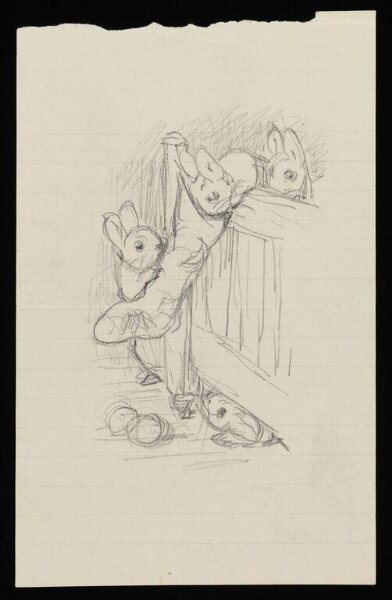 Potter, Beatrix, drawing