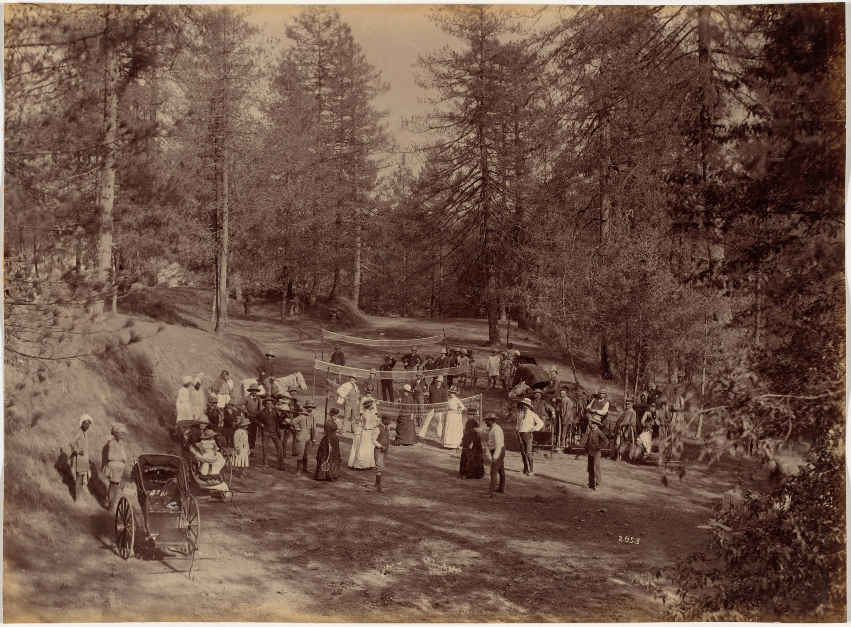Raja Deen Dayal, Badminton Party at Mashobra, Shimla