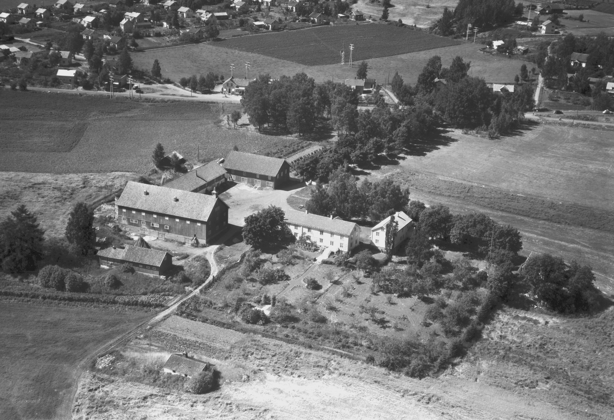 Anno Domkirkeodden, FØLYFOTO TOMMELSTAD
