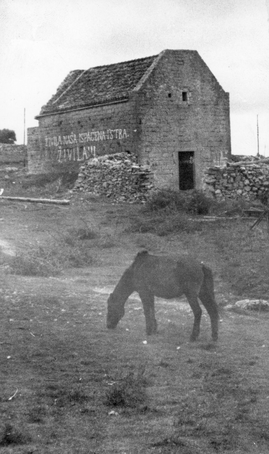 Branko Fučić, Hrasta (Cres), Kapela sv. Petra, zadužbina creske patricijske obitelji Colombis, sada u seljačkom posjedu