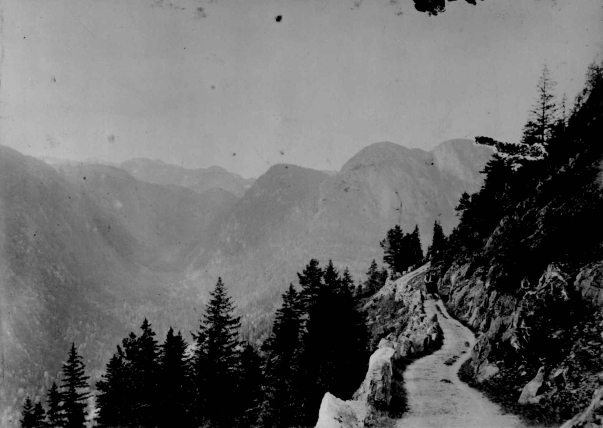 Ukjent, Fra en serie fotografier fra et album som har tilhørt folklorist og professor Moltke Moe (1859-1913), antatt fra 1880-årene med motiver fra Telemark.