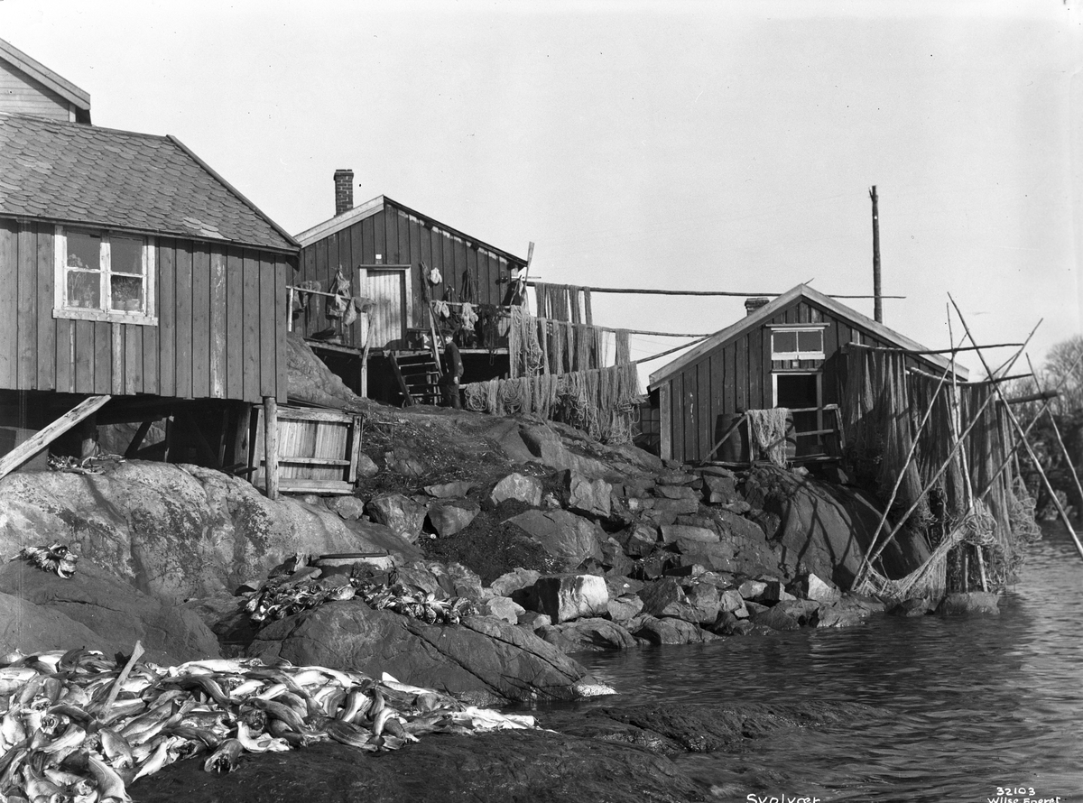 Anders Beer Wilse, Prot: Lofotfiske - Svolvær. Rorboder