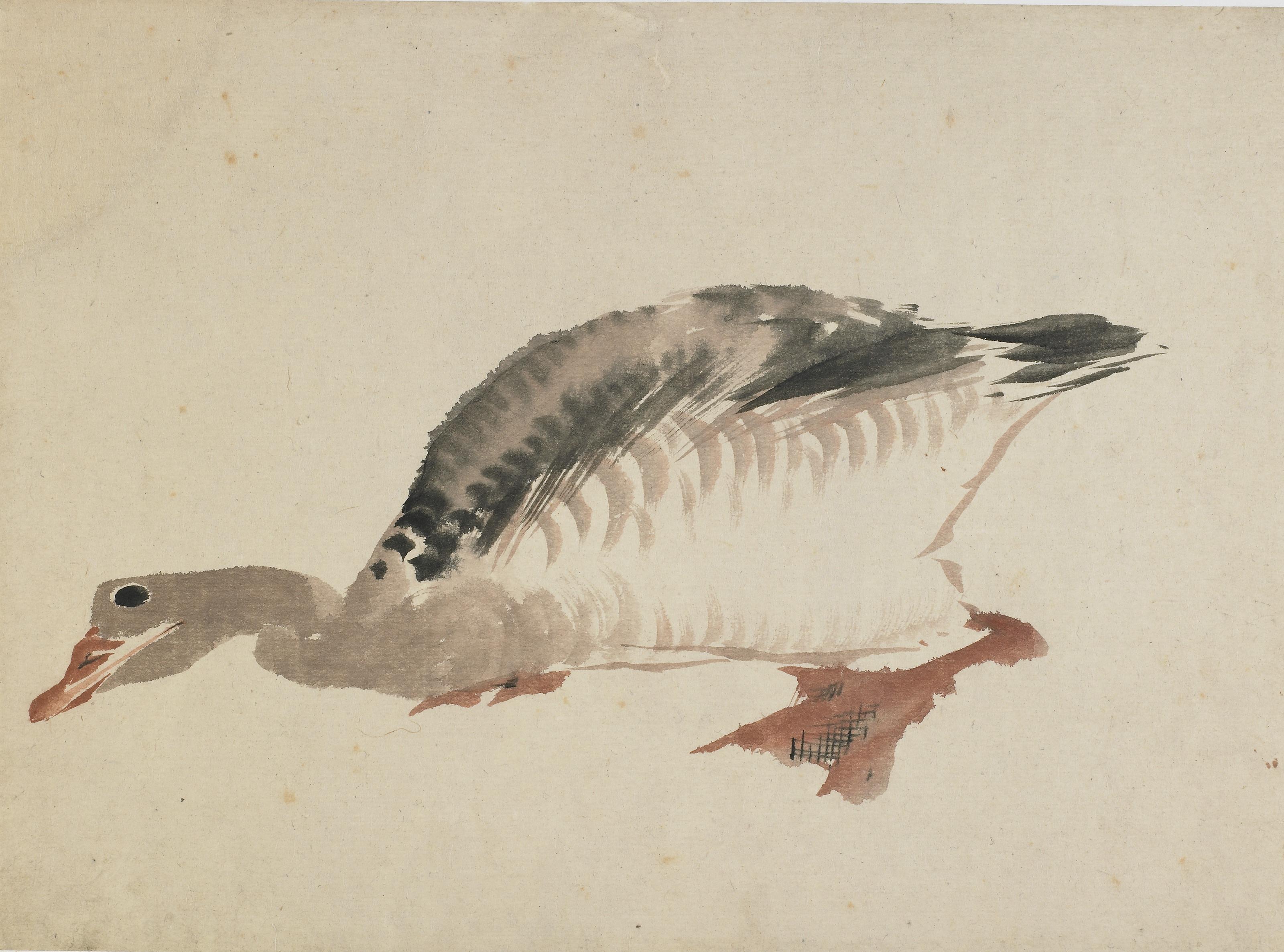 Katsushika Hokusai, Goose
